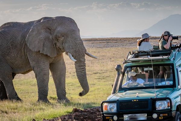Game-Drives-in-Uganda